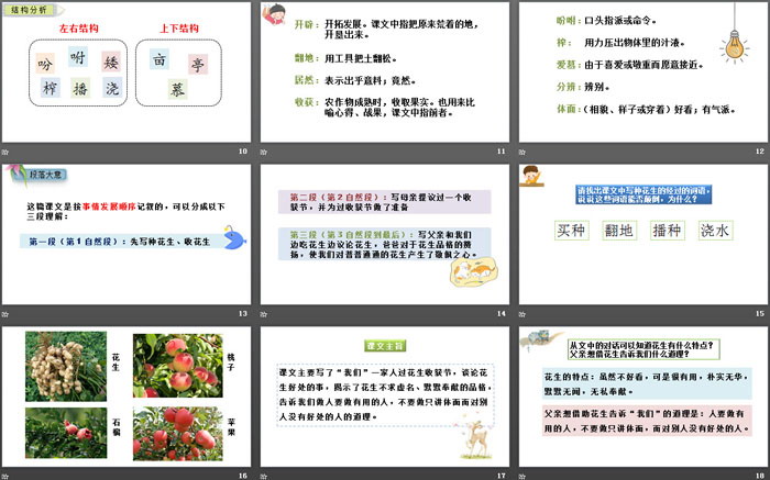 图片[3]-《落花生》PPT优秀课件-第一PPT
