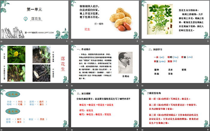 图片[2]-《落花生》PPT精品课件-第一PPT