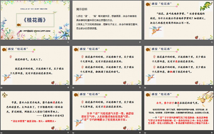 图片[2]-《桂花雨》PPT优秀课件-第一PPT