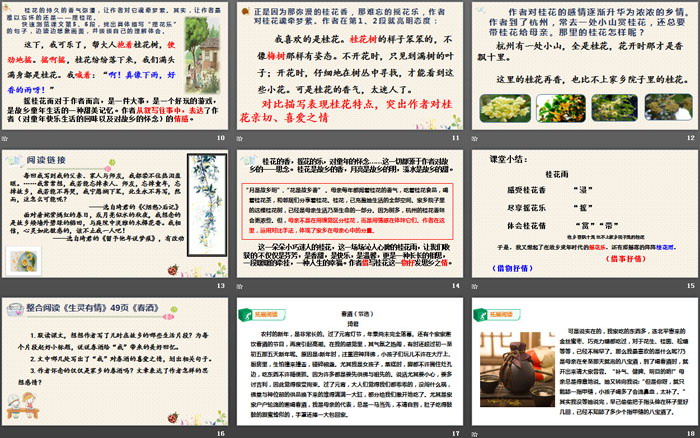 图片[3]-《桂花雨》PPT优秀课件-第一PPT