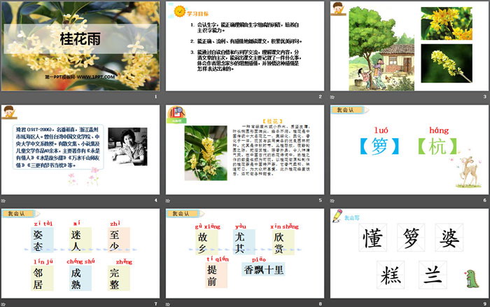 图片[2]-《桂花雨》PPT精品课件-第一PPT
