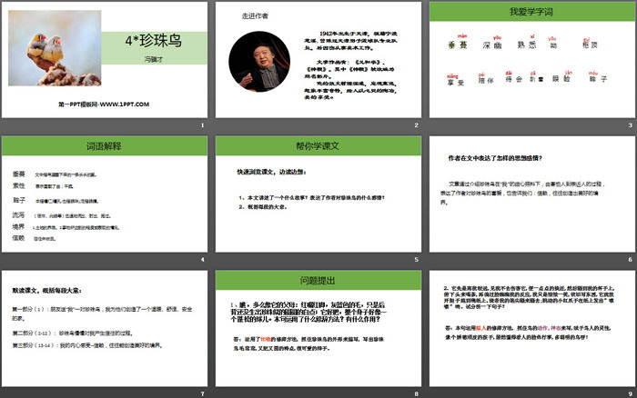 图片[2]-《珍珠鸟》PPT精品课件-第一PPT
