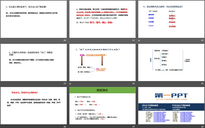 图片[3]-《珍珠鸟》PPT精品课件-第一PPT
