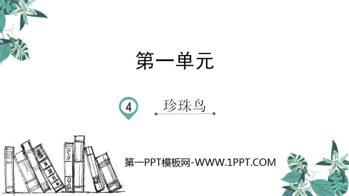 图片[1]-《珍珠鸟》PPT优质课件下载-第一PPT