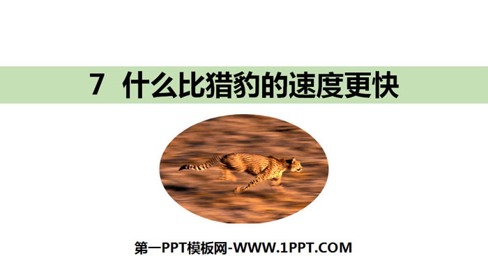 图片[1]-《什么比猎豹的速度更快》PPT免费课件-第一PPT