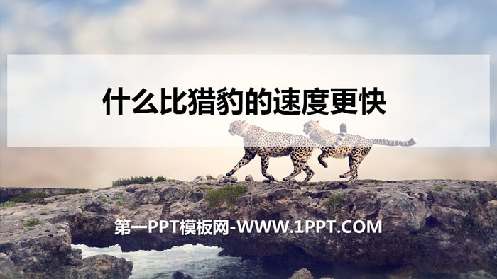 图片[1]-《什么比猎豹的速度更快》PPT优秀课件-第一PPT