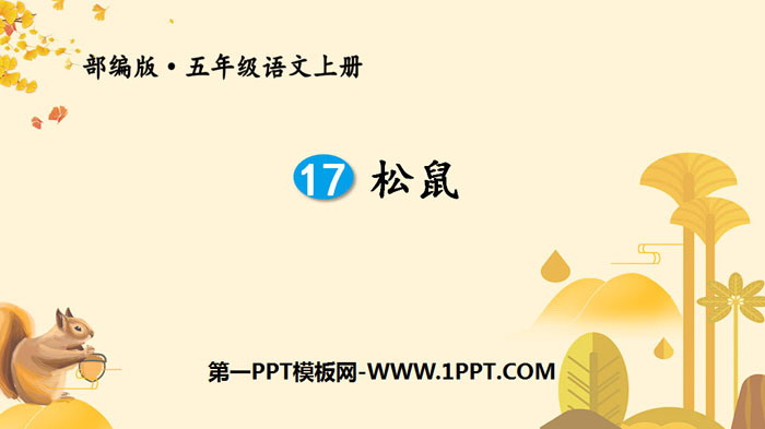 图片[1]-《松鼠》PPT优秀课件-第一PPT