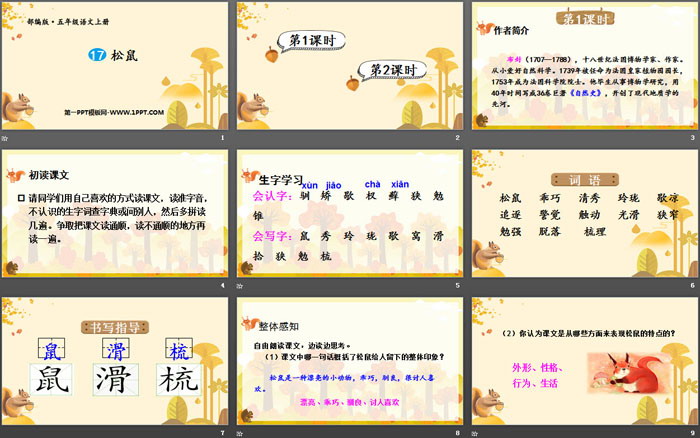 图片[2]-《松鼠》PPT优秀课件-第一PPT
