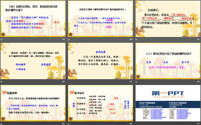 图片[4]-《松鼠》PPT优秀课件-第一PPT