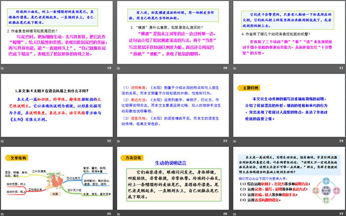 图片[4]-《松鼠》PPT精品课件-第一PPT
