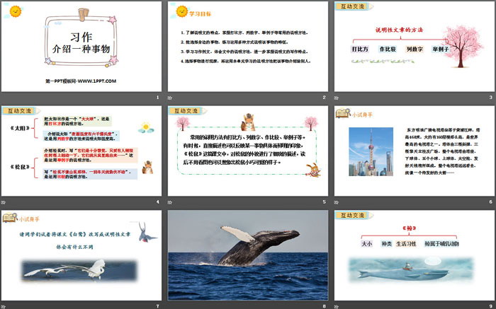 图片[2]-《介绍一种事物》PPT课件-第一PPT