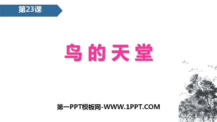 图片[1]-《鸟的天堂》PPT免费课件-第一PPT