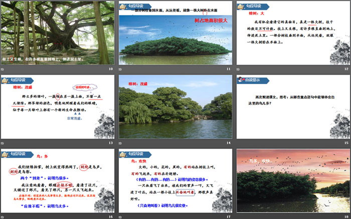 图片[3]-《鸟的天堂》PPT免费课件-第一PPT