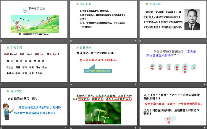 图片[2]-《夏天里的成长》PPT免费课件-第一PPT