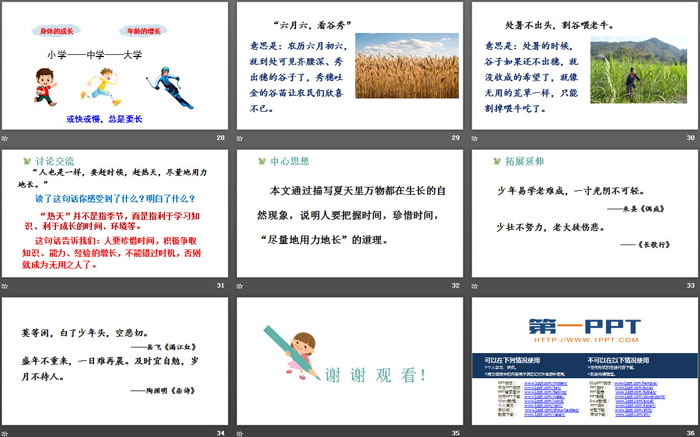 图片[5]-《夏天里的成长》PPT免费课件-第一PPT