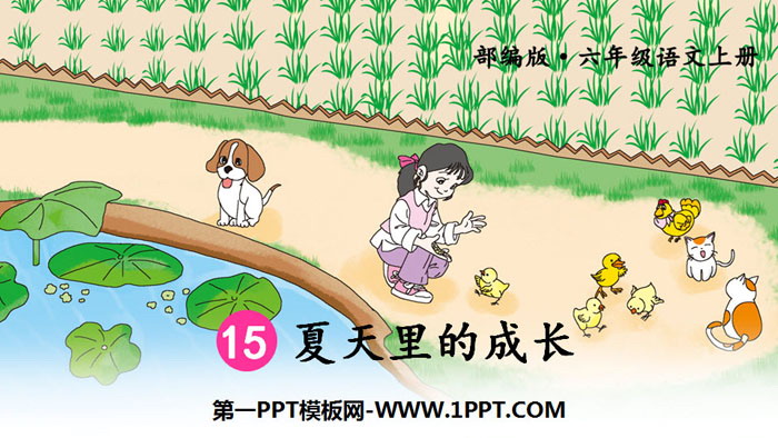 图片[1]-《夏天里的成长》PPT优秀课件-第一PPT