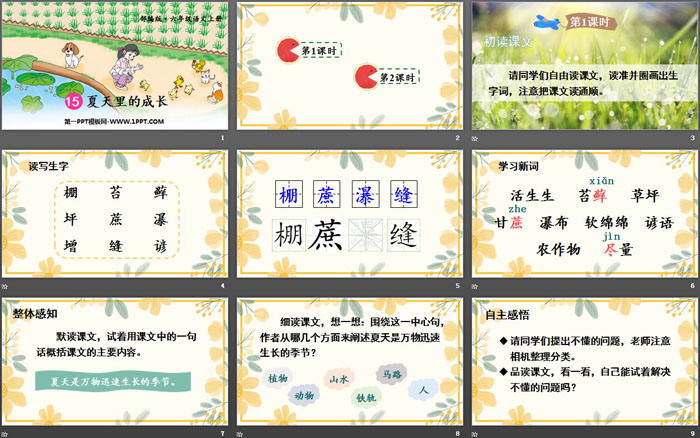 图片[2]-《夏天里的成长》PPT优秀课件-第一PPT