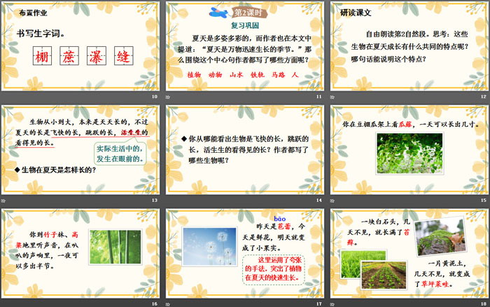 图片[3]-《夏天里的成长》PPT优秀课件-第一PPT