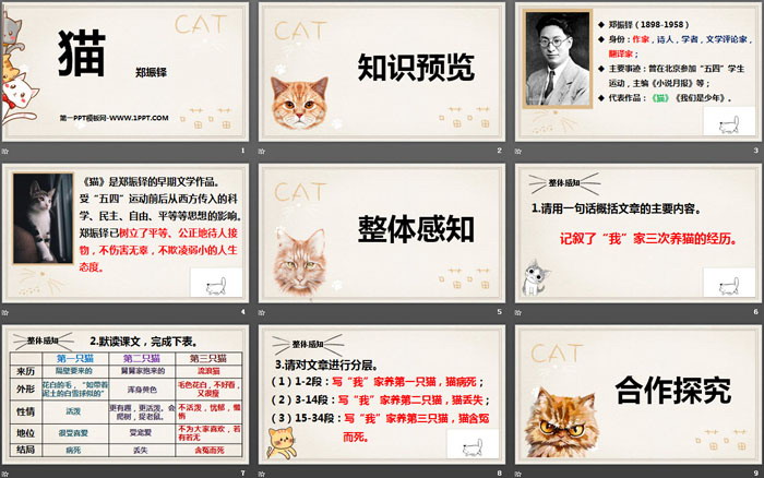 图片[2]-《猫》PPT免费下载-第一PPT