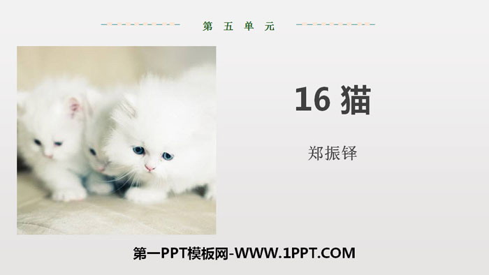图片[1]-《猫》PPT优质课件-第一PPT