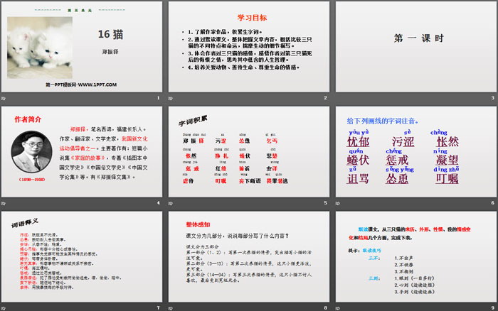 图片[2]-《猫》PPT优质课件-第一PPT