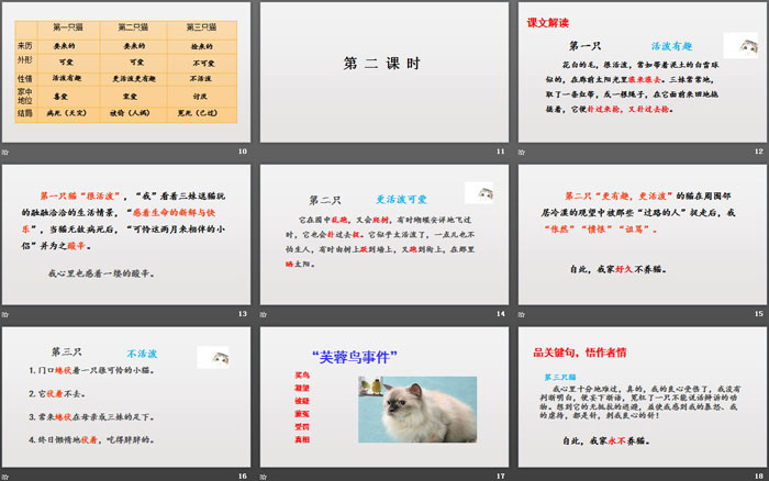 图片[3]-《猫》PPT优质课件-第一PPT