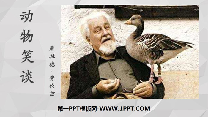 图片[1]-《动物笑谈》PPT教学课件-第一PPT