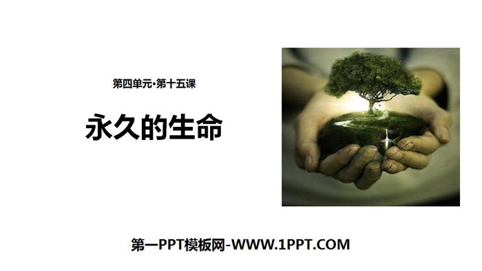 图片[1]-《永久的生命》PPT下载-第一PPT