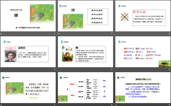 图片[2]-《蝉》PPT免费下载-第一PPT