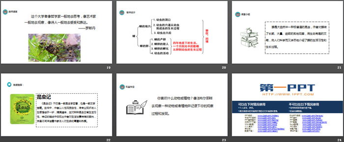 图片[4]-《蝉》PPT免费下载-第一PPT
