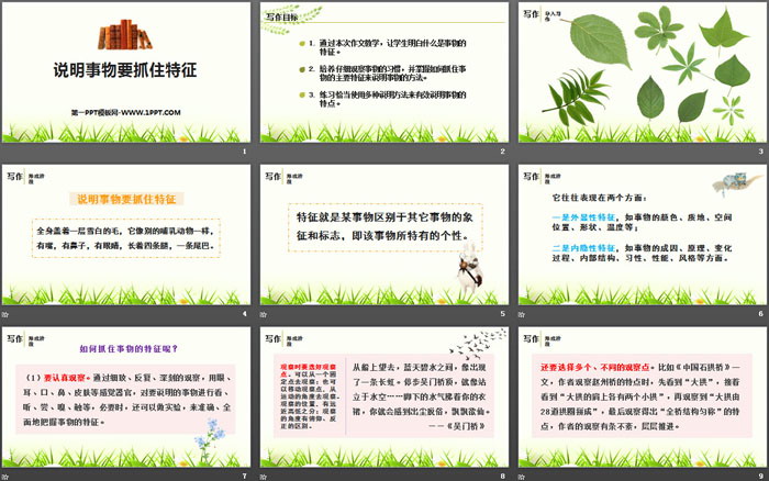 图片[2]-《说明事物要抓住特征》PPT课件-第一PPT