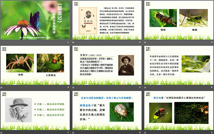 图片[2]-《昆虫记》PPT课件-第一PPT