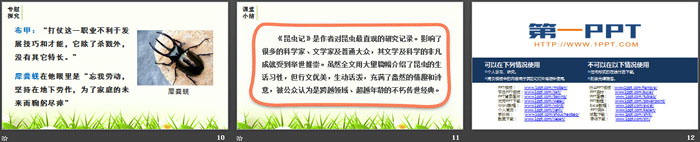 图片[3]-《昆虫记》PPT课件-第一PPT
