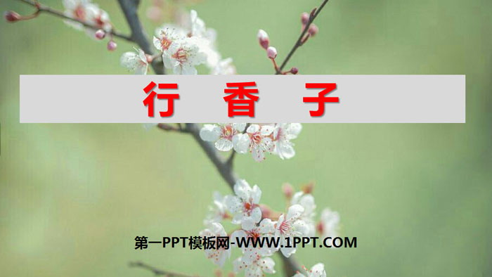 图片[1]-《行香子》课外古诗词诵读PPT课件-第一PPT