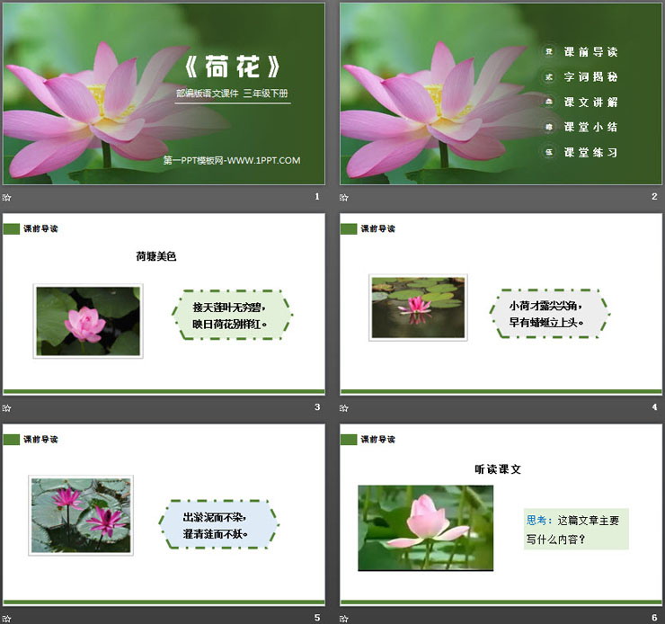 图片[2]-《荷花》PPT课件免费下载-第一PPT