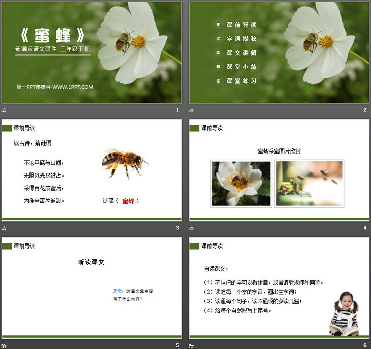 图片[2]-《蜜蜂》PPT课件下载-第一PPT