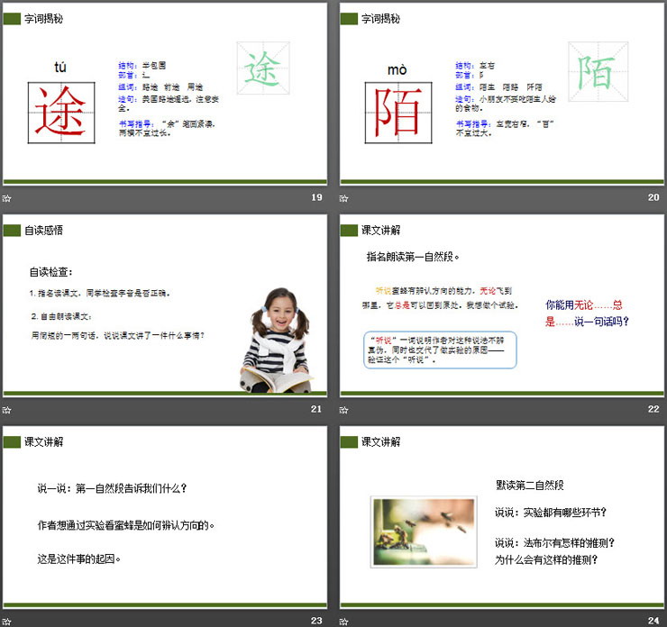 图片[5]-《蜜蜂》PPT课件下载-第一PPT