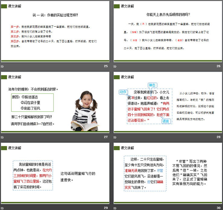 图片[6]-《蜜蜂》PPT课件下载-第一PPT