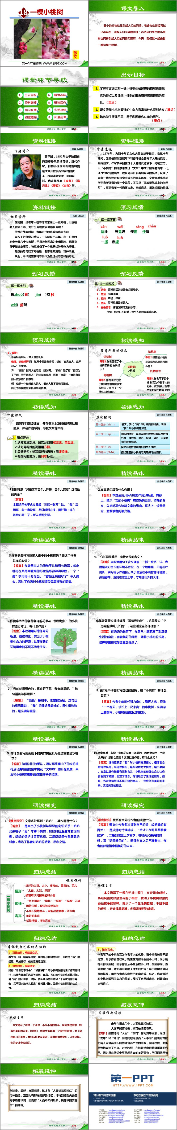 图片[2]-《一棵小桃树》PPT优质课件-第一PPT