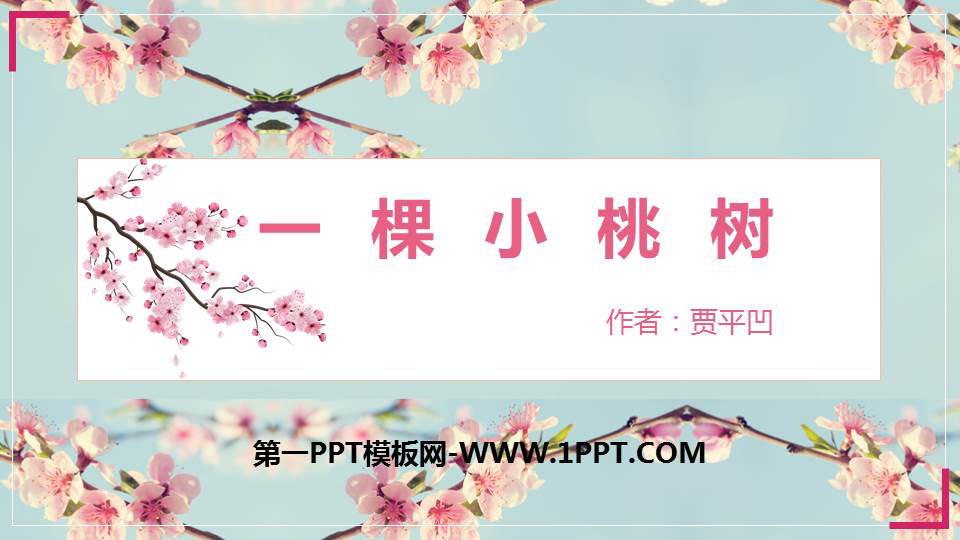 图片[1]-《一棵小桃树》PPT精品课件-第一PPT