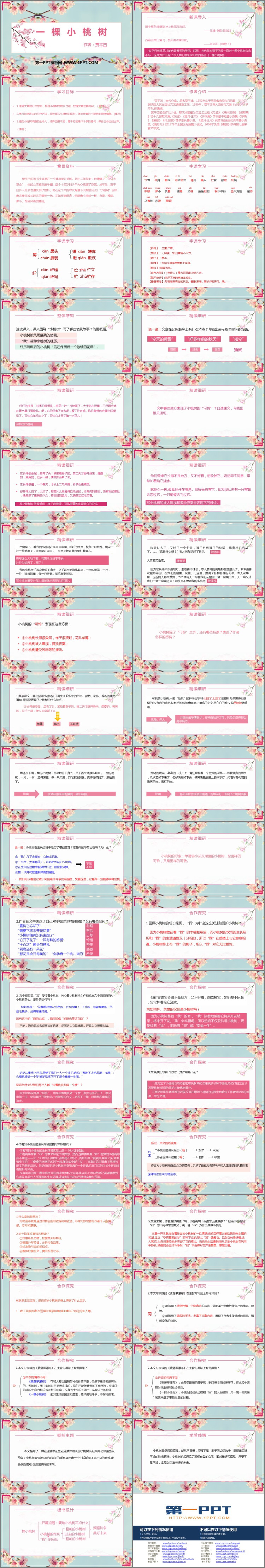 图片[2]-《一棵小桃树》PPT精品课件-第一PPT