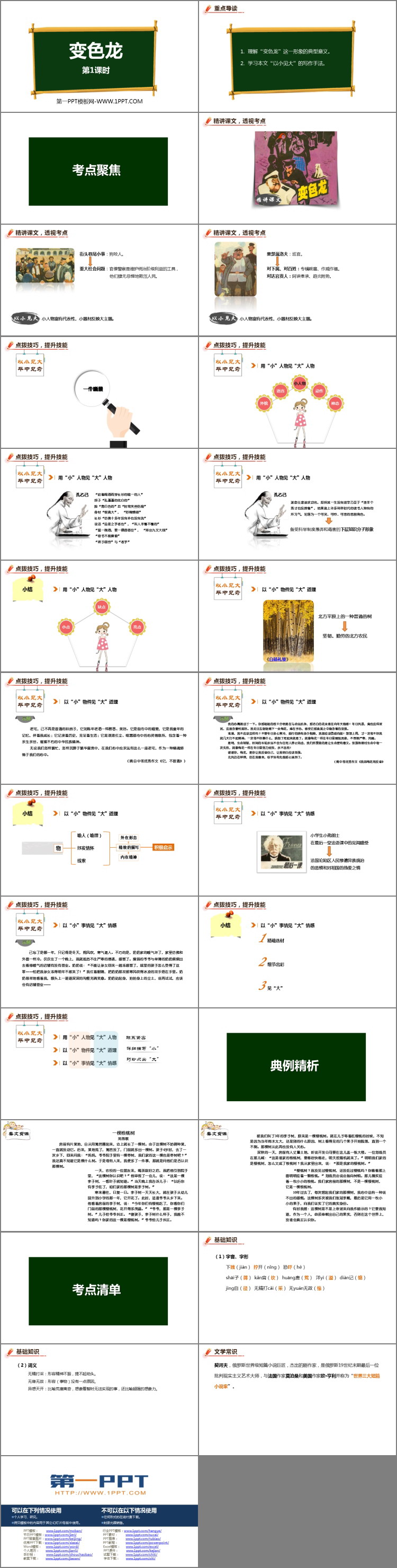 图片[2]-《变色龙》PPT下载(第1课时)-第一PPT