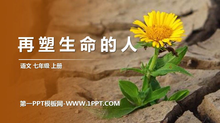图片[1]-《再塑生命的人》PPT优秀课件-第一PPT