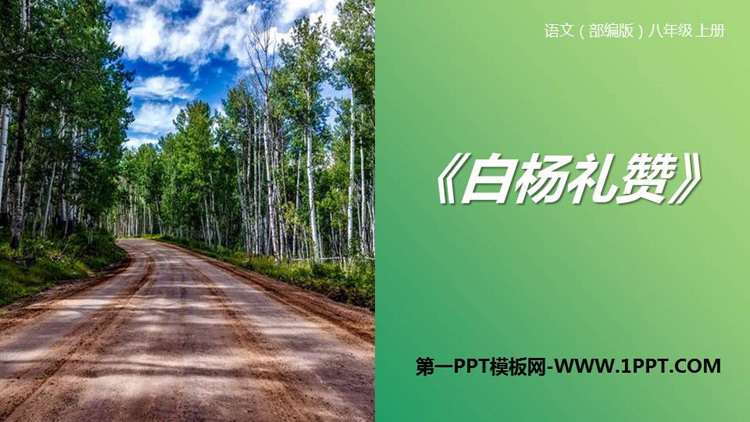 图片[1]-《白杨礼赞》PPT优质课件下载-第一PPT