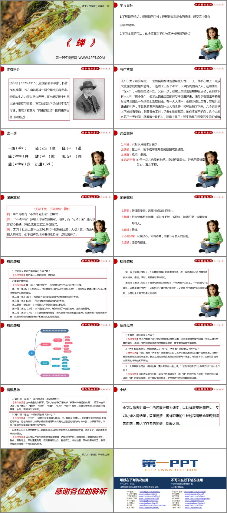 图片[2]-《蝉》PPT精品课件-第一PPT