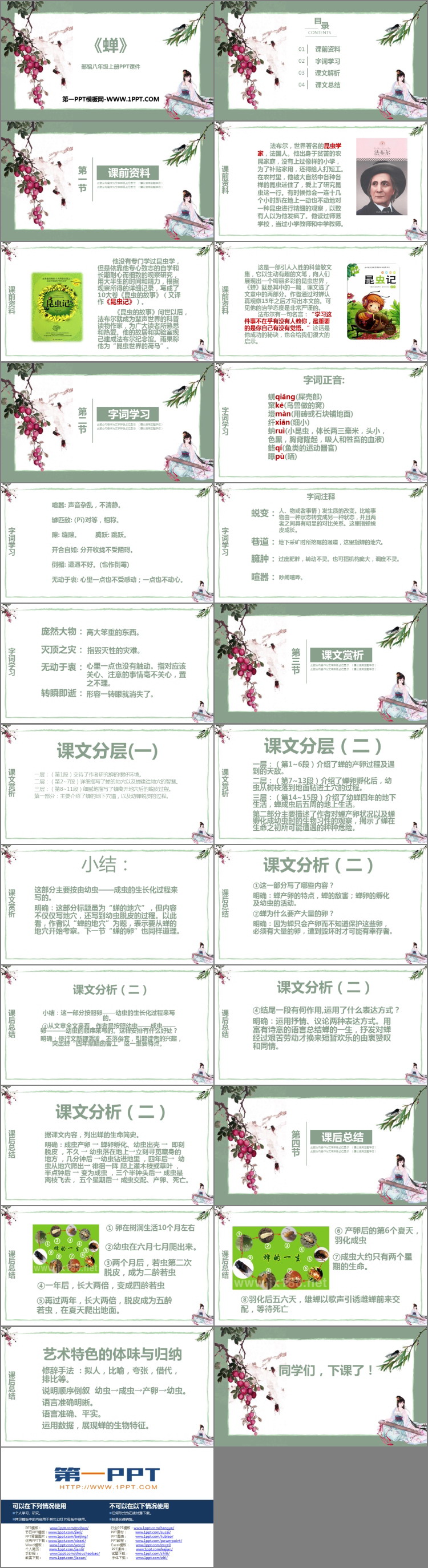 图片[2]-《蝉》PPT免费课件下载-第一PPT