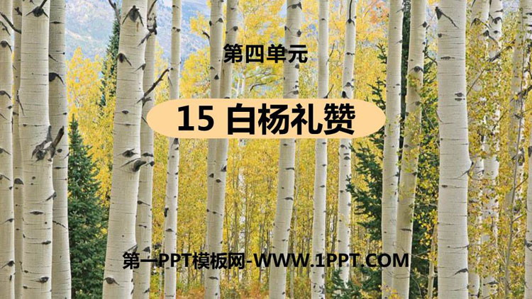 图片[1]-《白杨礼赞》PPT课文课件-第一PPT
