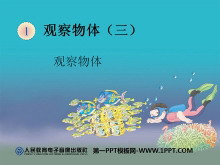 《观察物体例题》PPT课件2-第一PPT