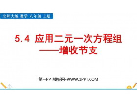 《应用二元一次方程组—增收节支》二元一次方程组PPT免费课件-第一PPT