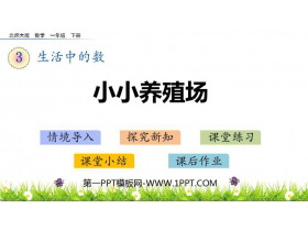 《小小养殖场》生活中的数PPT教学课件-第一PPT